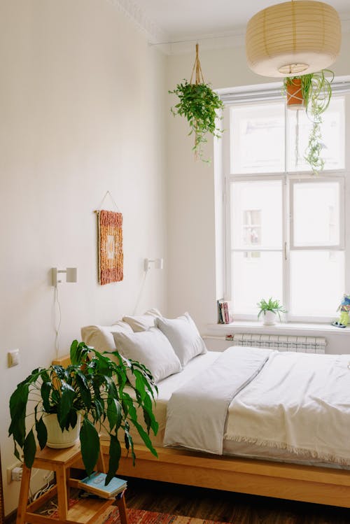 Contemporary bedroom interior with bed near decor on wall and lamp on ceiling in daytime