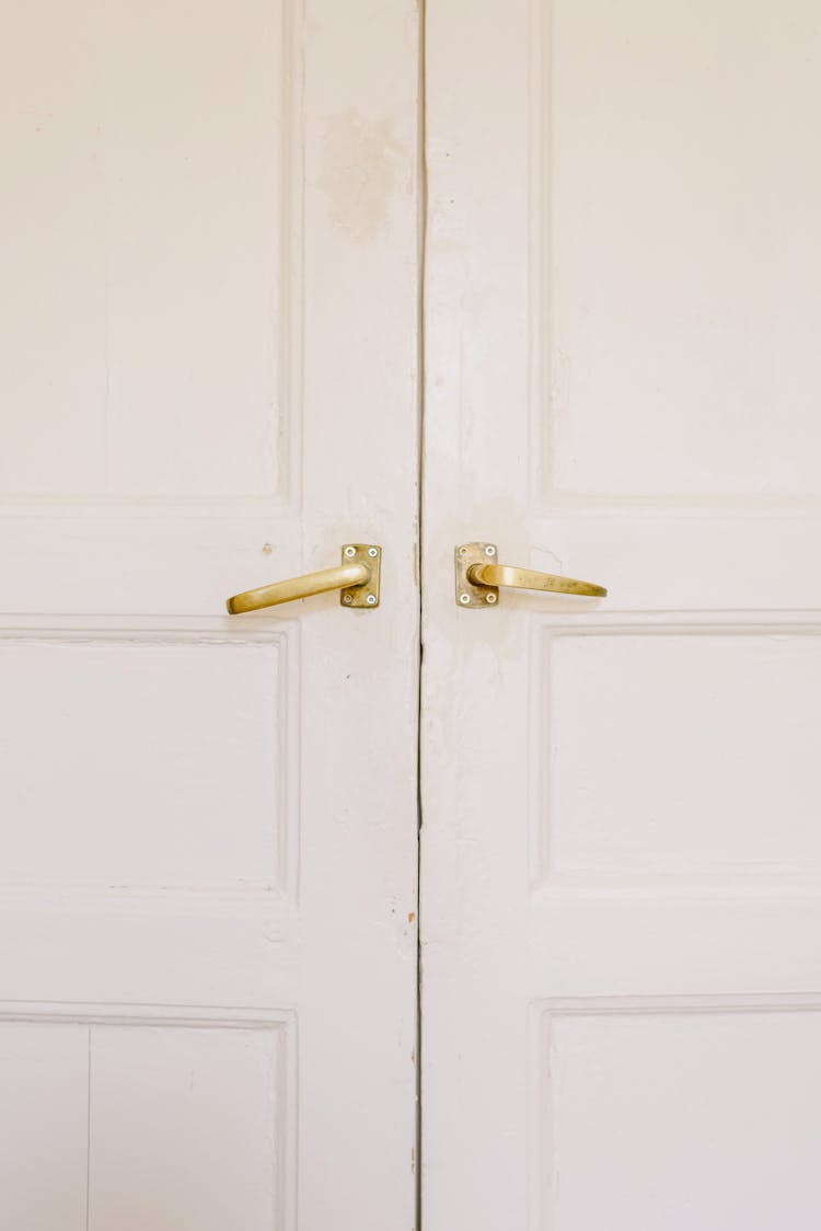 Modern White House Doors With Golden Handles