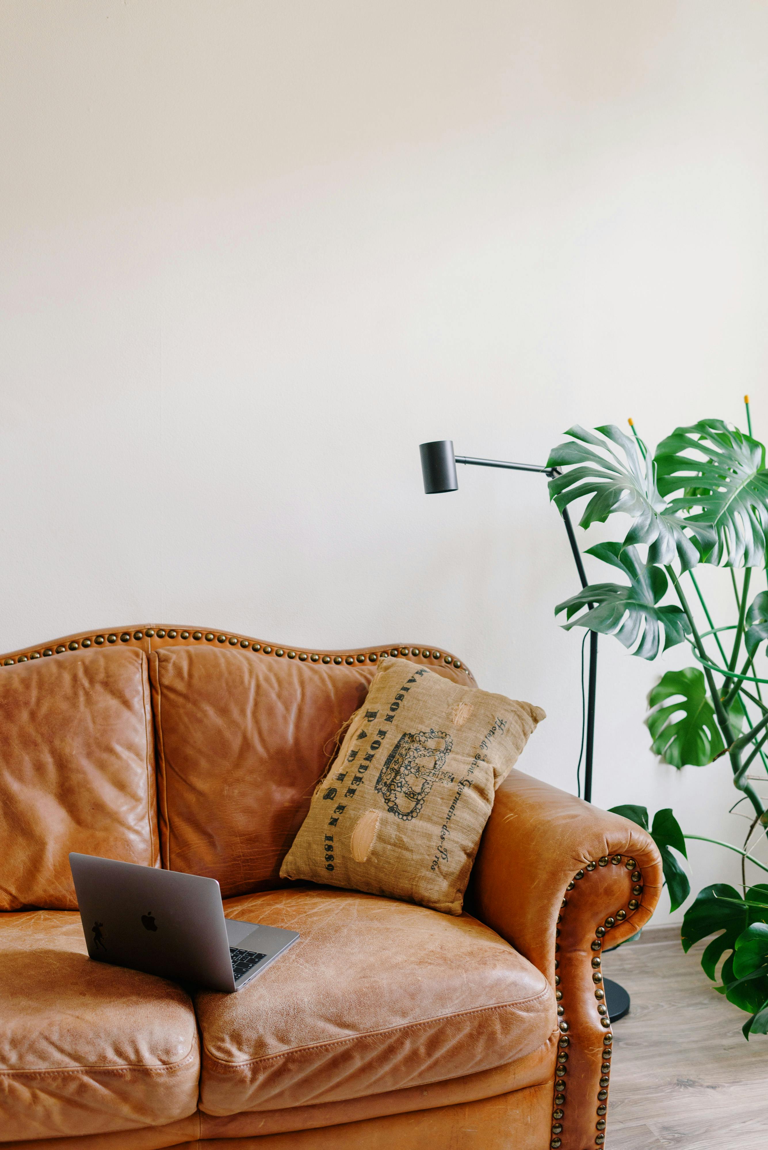 cozy sofa with laptop near green plant at home