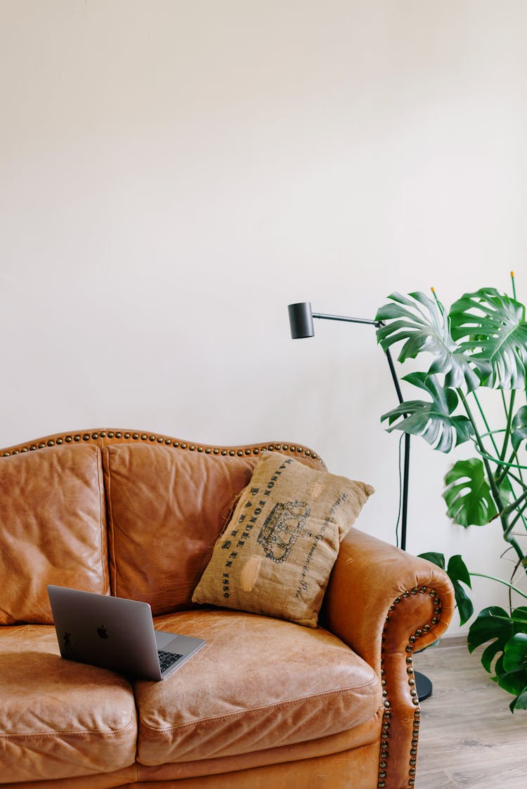 Cozy Sofa With Laptop Near Green Plant At Home
