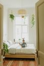 Adorable barefoot kid with flying hair having fun on soft bed in modern bedroom with potted plants