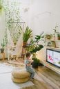 Unrecognizable girl eating and watching TV in living room