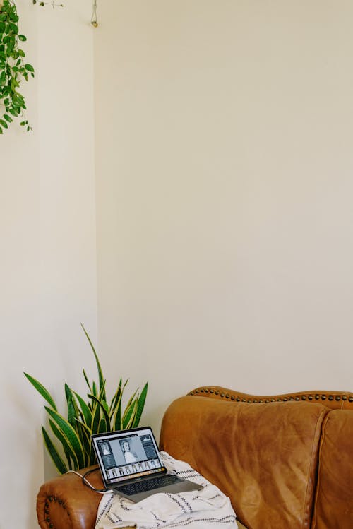 Netbook placed on leather couch in stylish room with green houseplants
