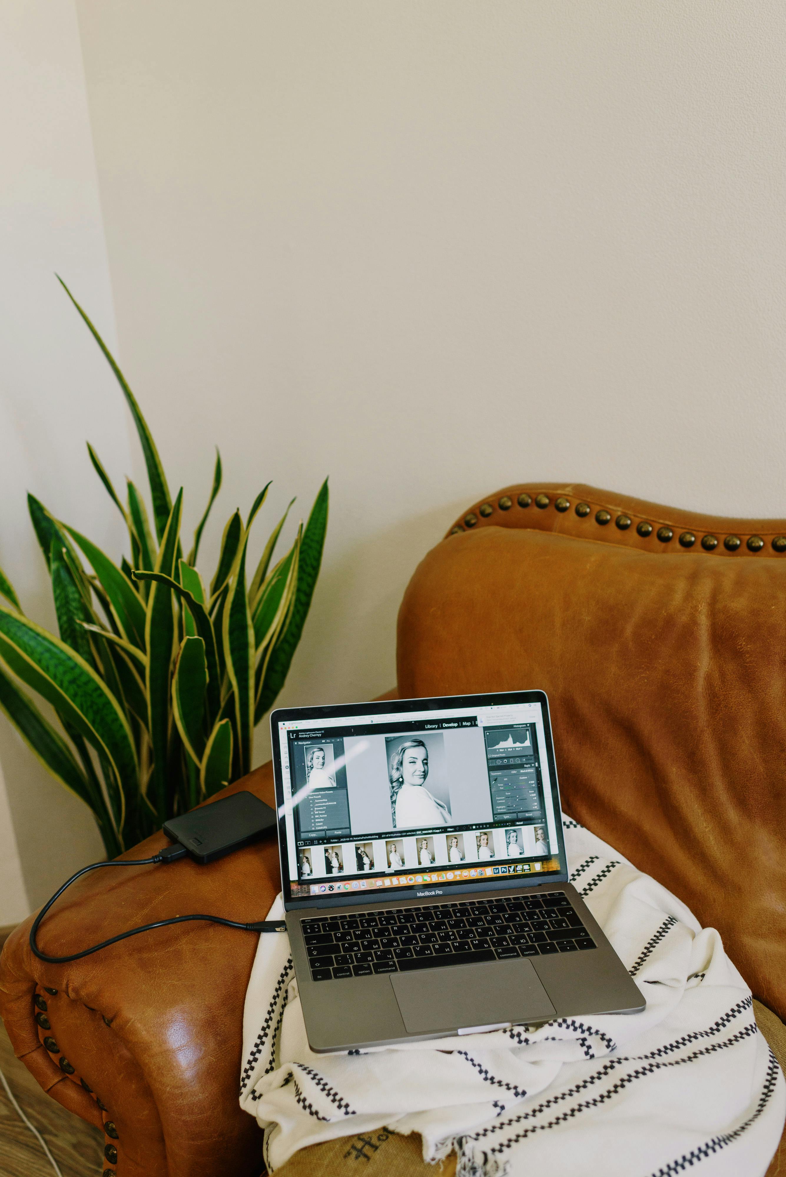 laptop placed on sofa in cozy room decorated with fresh potted plants