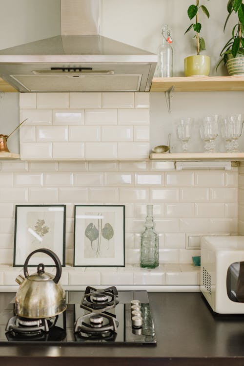 Interior of cozy kitchen with modern furniture and appliances and potted houseplants