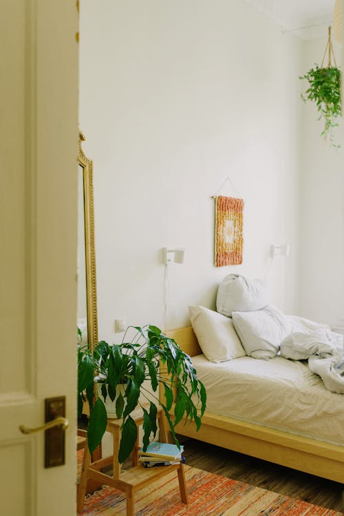 Free Interior of minimalist room with soft bed and various houseplants Stock Photo