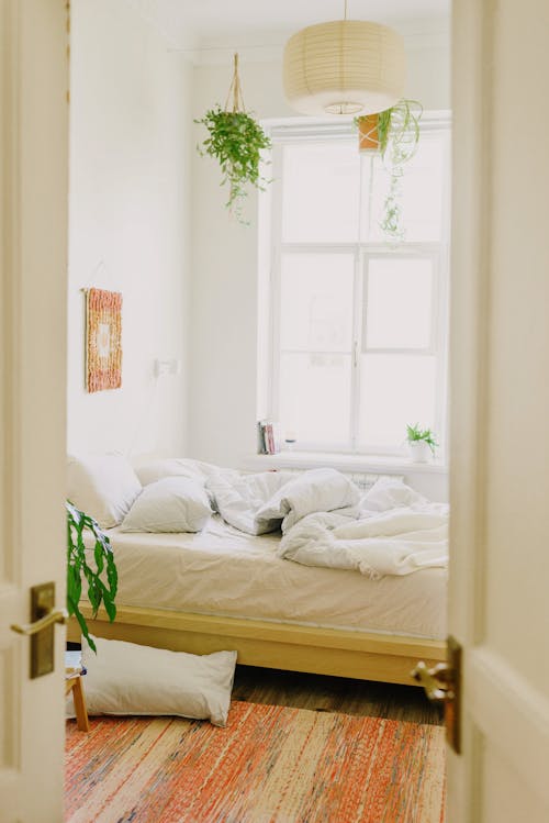 Comfy bed in stylish room decorated with green plants in daylight
