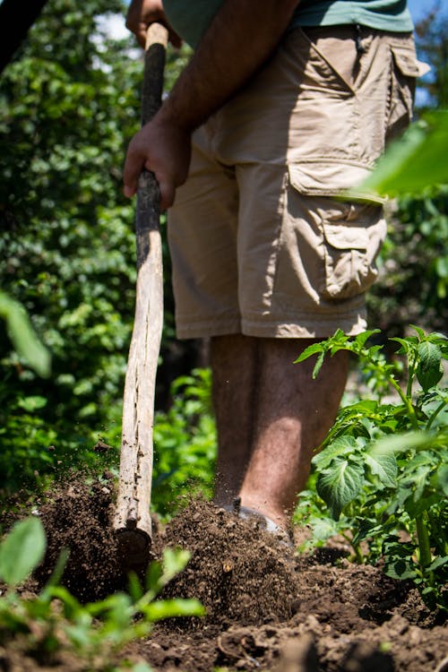 Farmer Digging up Soil