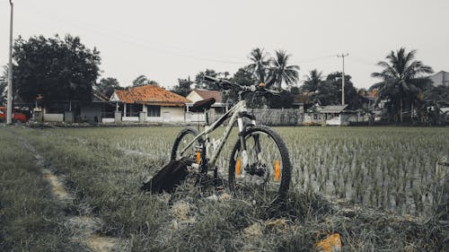 Free stock photo of bike, bikeexplorer, explorers