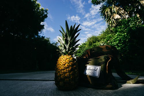 Pineapple Next to Herschel Backpack