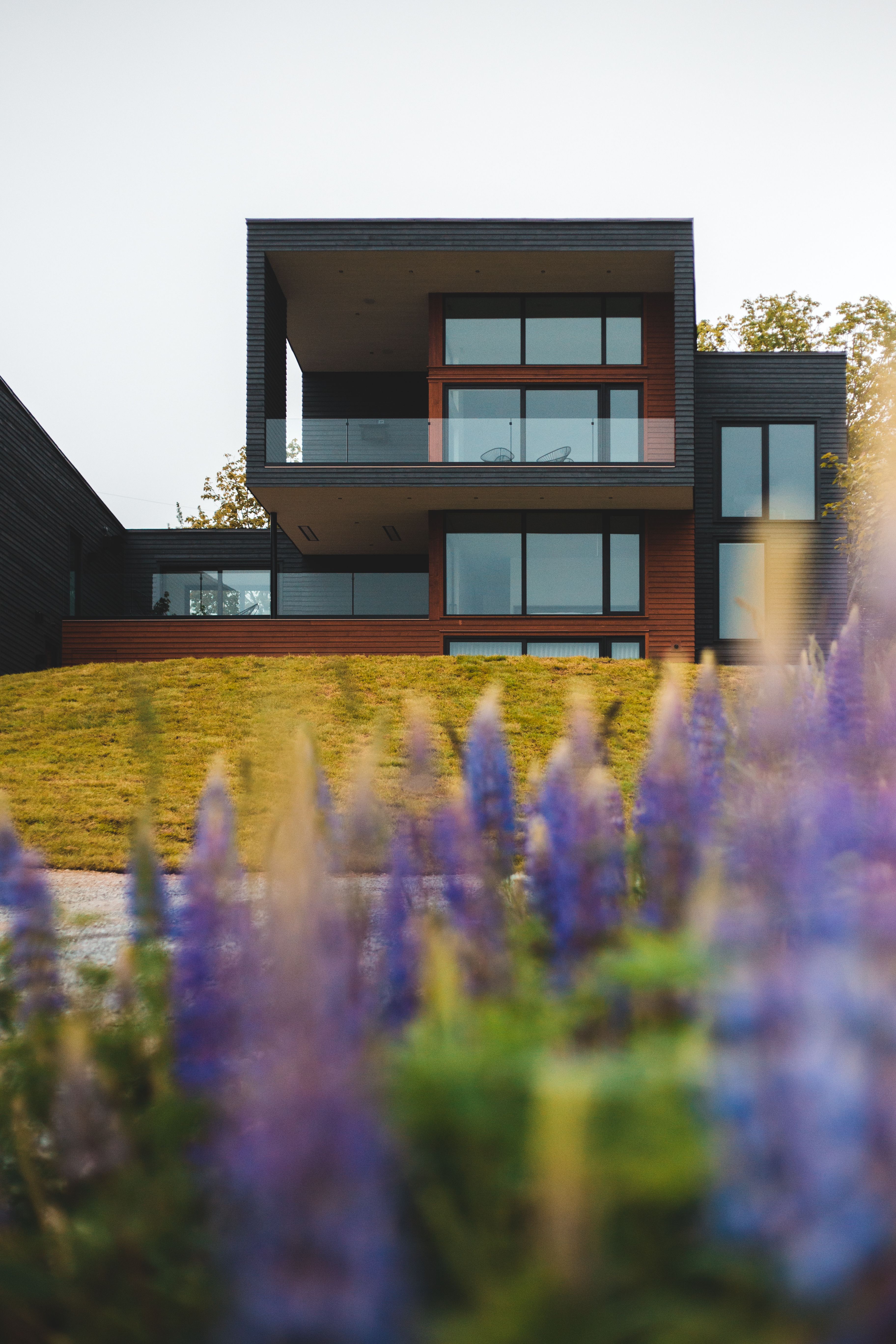 Elegant Lexington Home