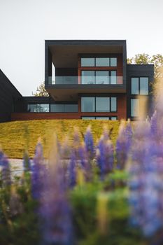 Exterior of contemporary building with big windows and balcony behind flowering plants in sunny day
