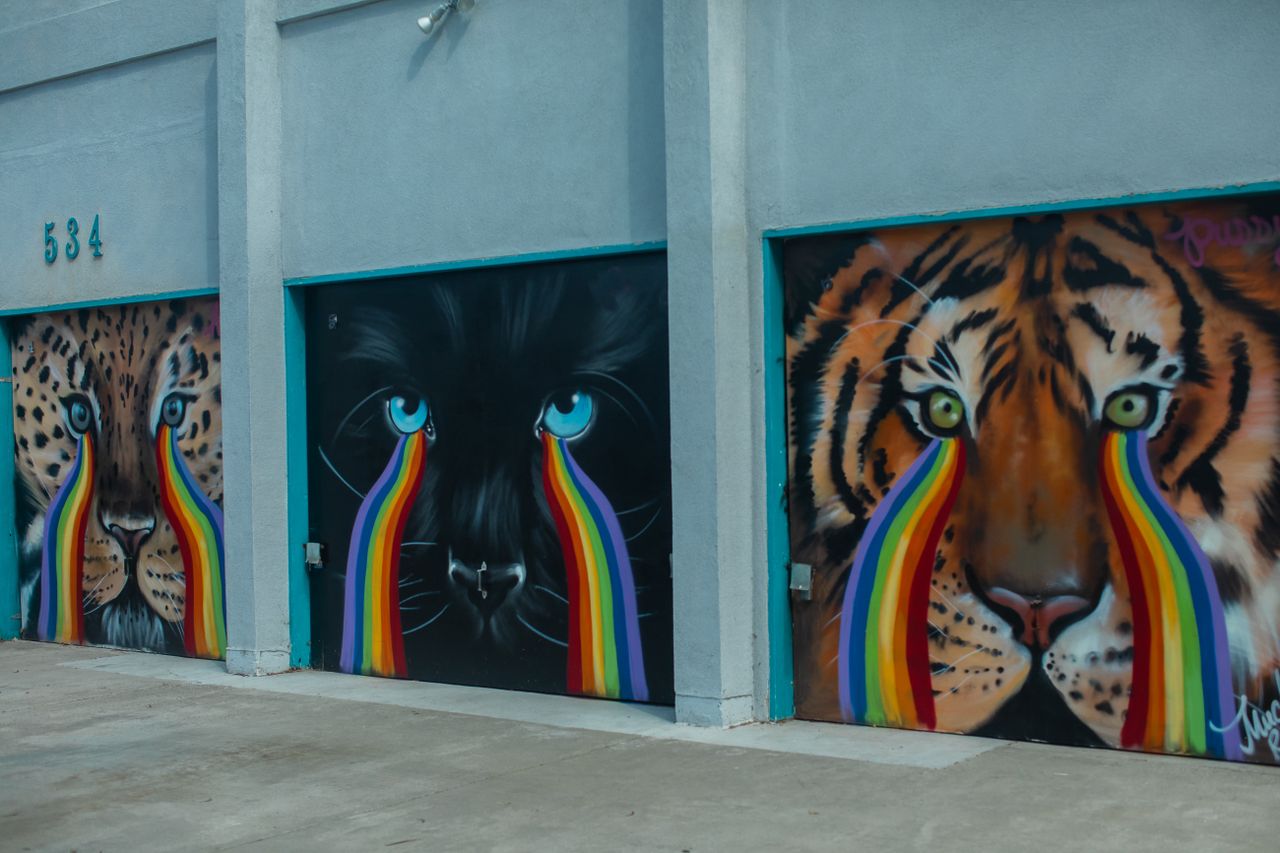 colorful graffiti featuring a leopard panther and tiger with rainbow t