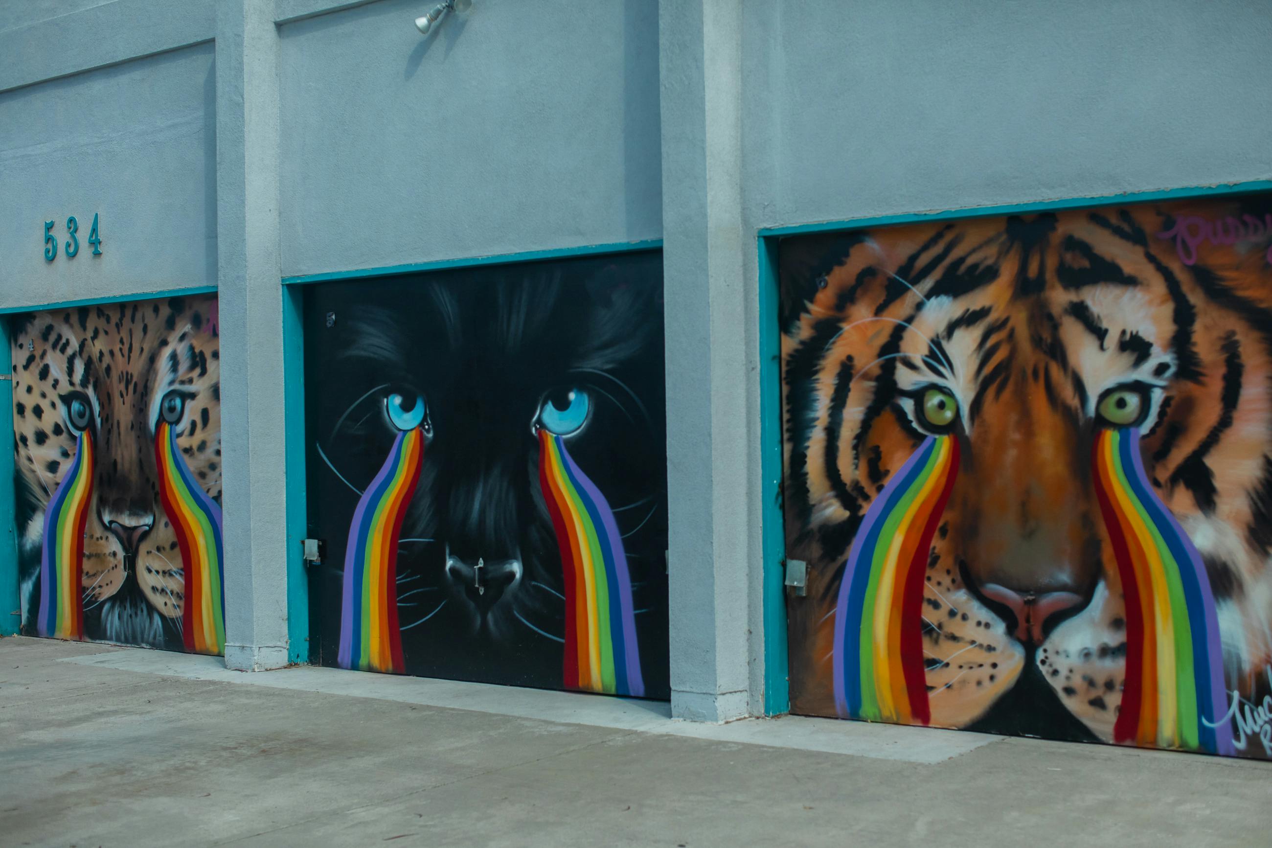 Rainbows Photos, Download The BEST Free Rainbows Stock Photos & HD Images