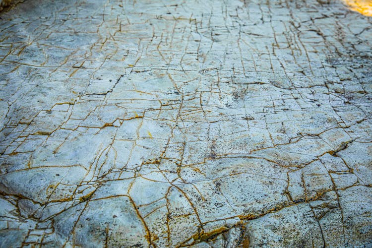 Cracked Concrete Floor Photo