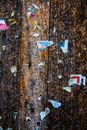 Torn Pieces of Paper Stapled Brown Wood with Black Stains
