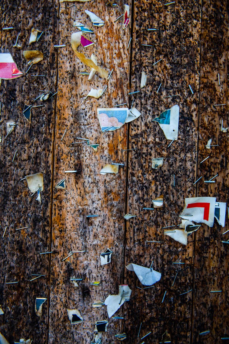 Torn Pieces Of Paper Stapled Brown Wood With Black Stains