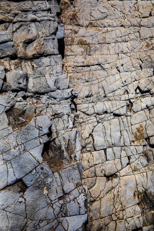 Free Close-up of a weathered rocky wall showing detailed cracks and texture. Stock Photo