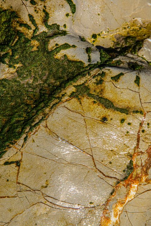 Free Detailed close-up of weathered concrete with green moss and cracks, capturing natural textures. Stock Photo