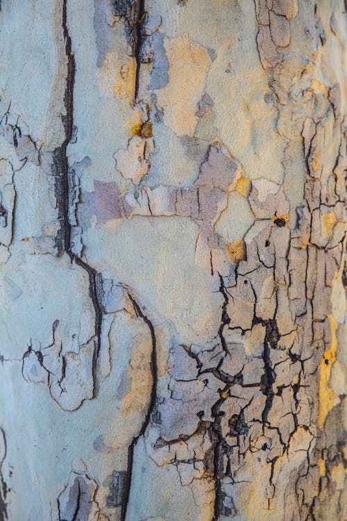 Free Surface and Texture of a Wall Stock Photo