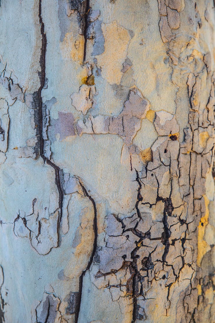 Surface And Texture Of A Wall