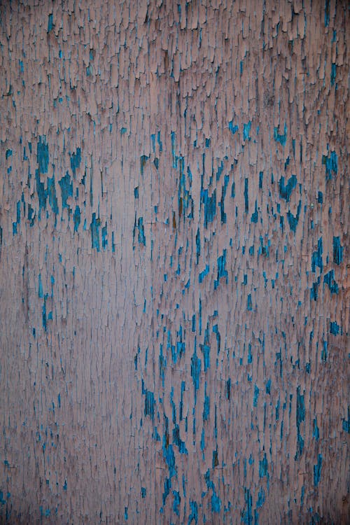 Texture and Surface of a Rustic Wall