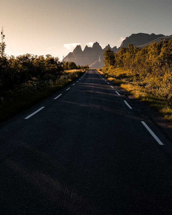 Foto profissional grátis de árvores, crepúsculo, estrada