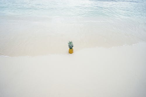 Free Pineapple in the Middle of the Seashore Stock Photo
