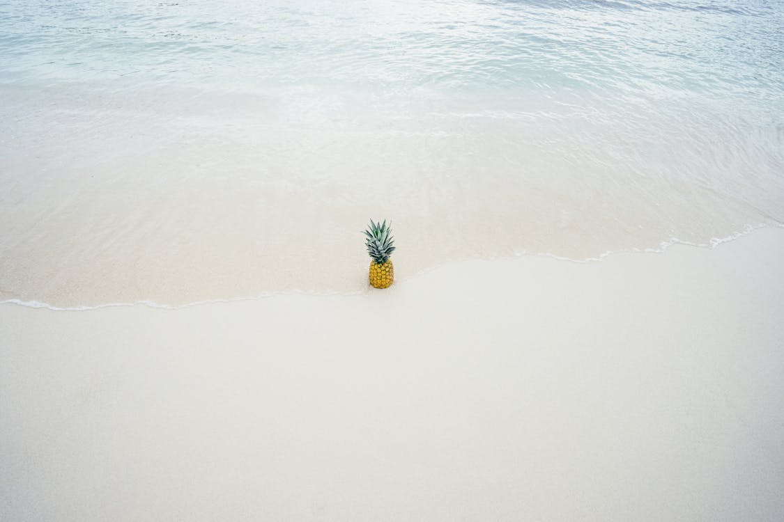 бесплатная Ананас посреди берега моря Стоковое фото
