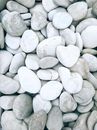 White Stone Fragments on Gray and Brown Stones