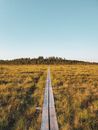 Gray Wooden Pathway Between Green Grass Field