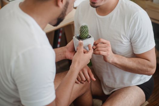 两个穿着白衬衫的男人坐在室内，共享一株小仙人掌，象征着联系和爱