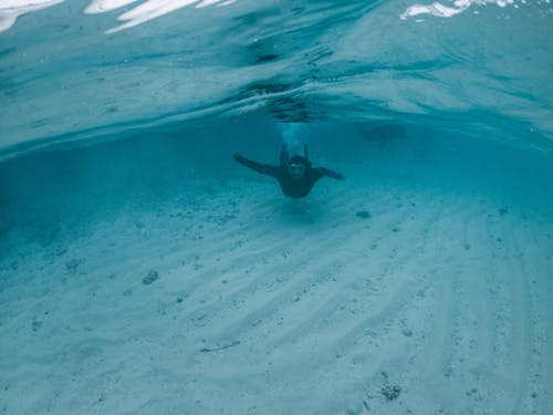 Faceless person diving in blue seawater