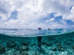 Schnorchler schwimmt über klarem felsigem Grund mit ausgestreckten Flossen