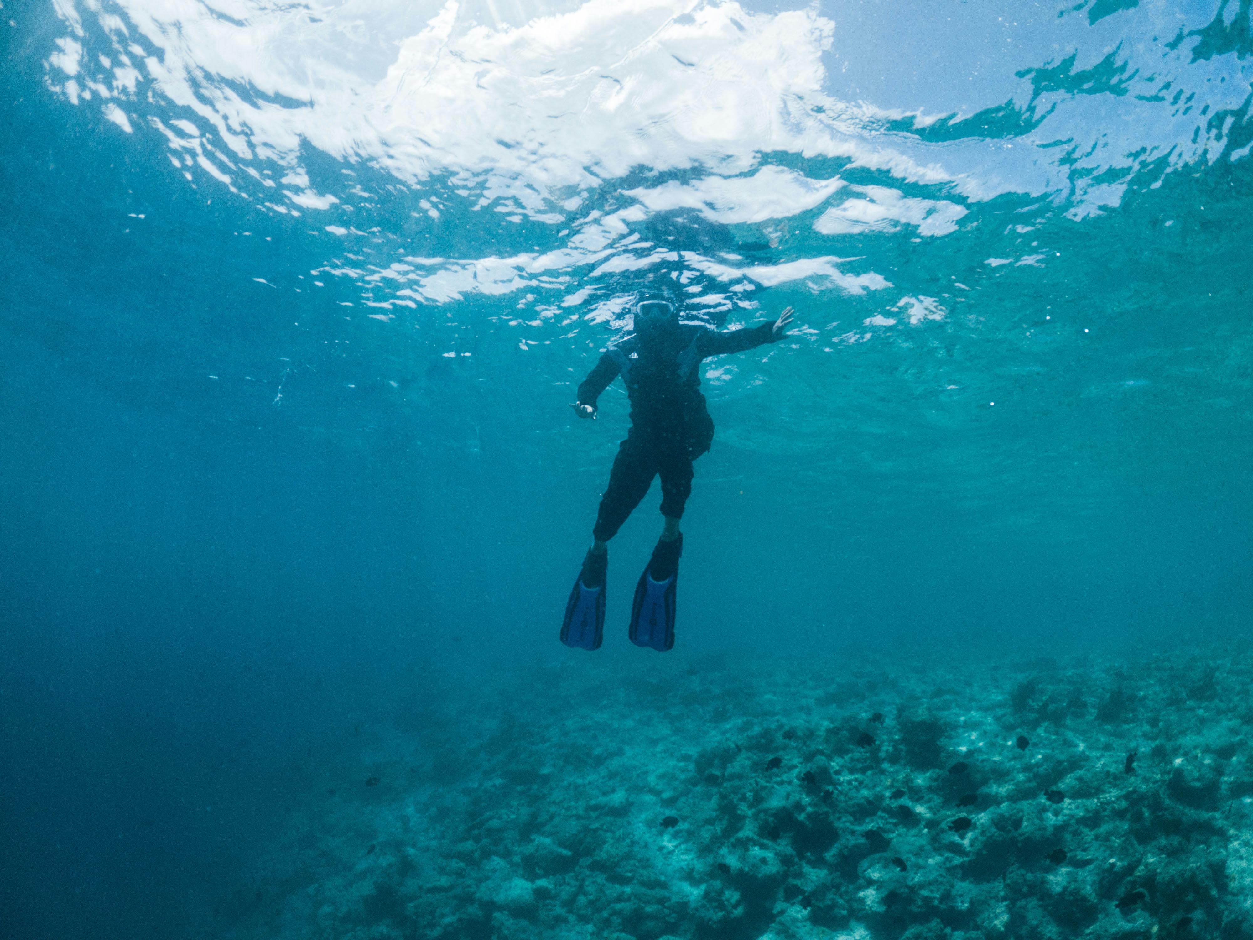 Attractive woman swimming in blue seawater · Free Stock Photo