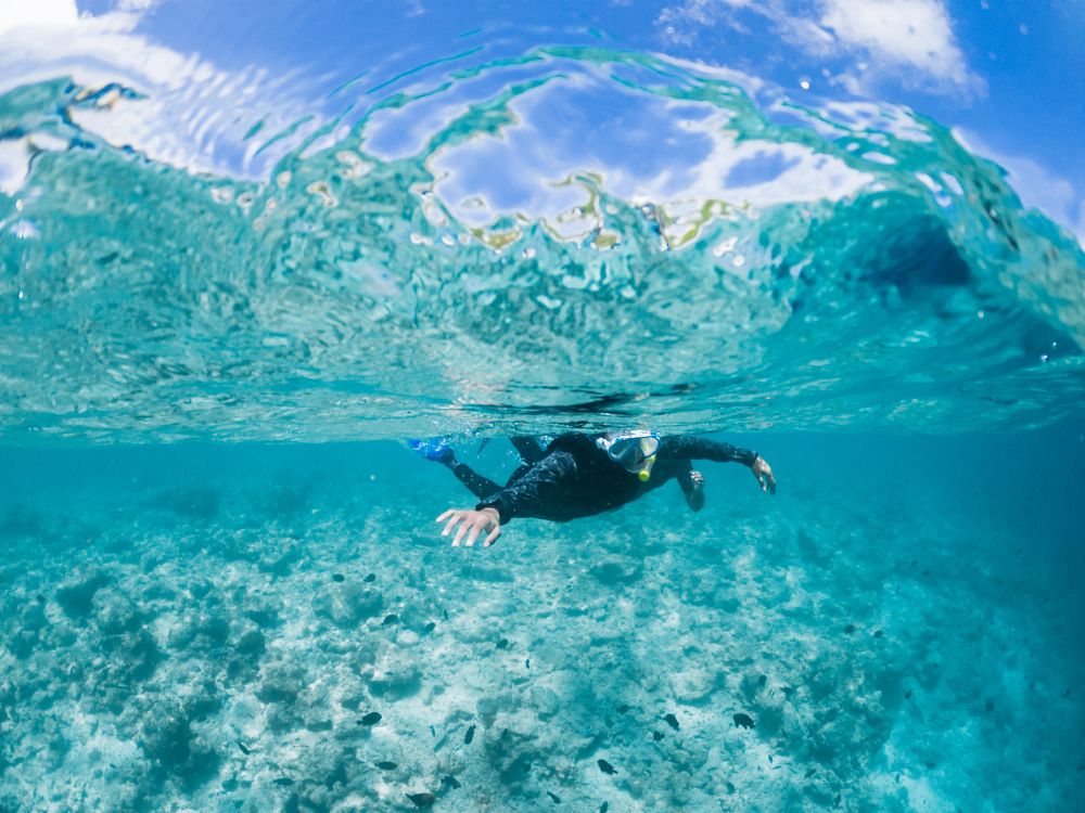 Schnorchler mit UV-Shirt und Rashguard taucht durch klares Wasser mit Fischen