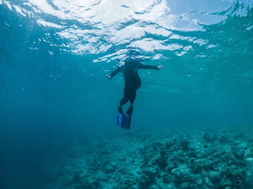 Underwater shot of anonymous snorkeler in flippers and wetsuit swimming in transparent blue seawater