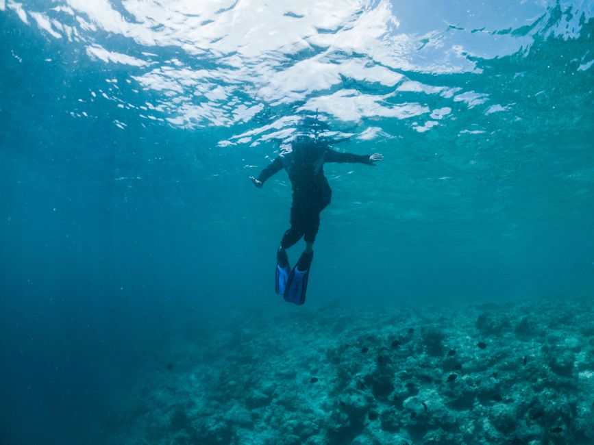 Plongée sous-marine à la Baie de Tivat