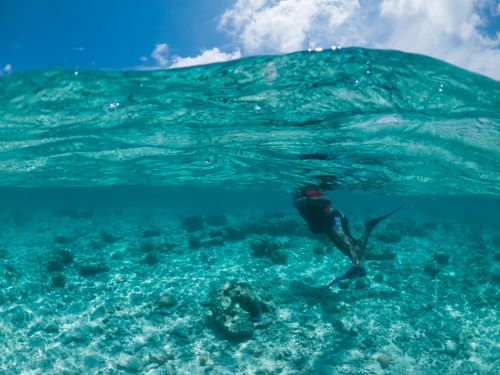 Free Side view faceless person in wetsuit and flippers swimming in azure warm seawater beneath blue sky on sunny day Stock Photo