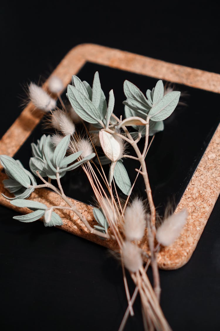 Green Leaves On Wooden Frame