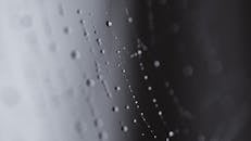 Web with water drops of dew