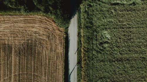 Agricultural plantations with different fields on sunny day