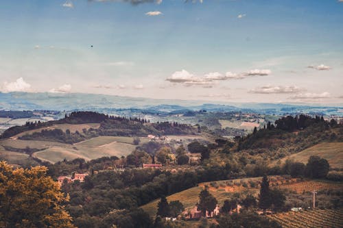 Green Trees on Countryside Under Blue Sky