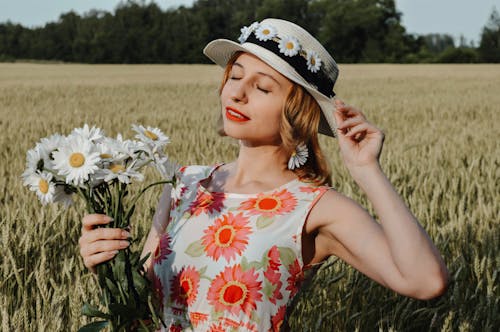 Free Tranquil woman with chamomiles in field Stock Photo