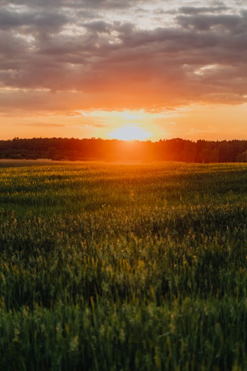 Free Beautiful sunset casting a warm glow over expansive green fields in a rural setting. Stock Photo