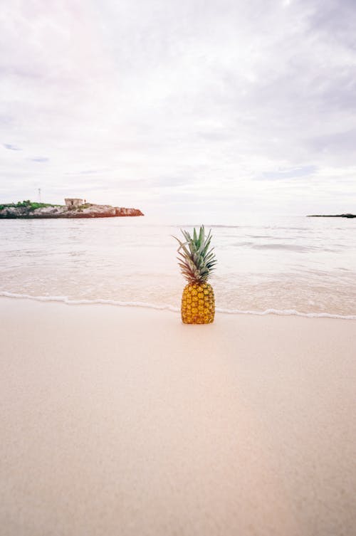 Free Pineapple Fruit on Seashore during Daytime Stock Photo
