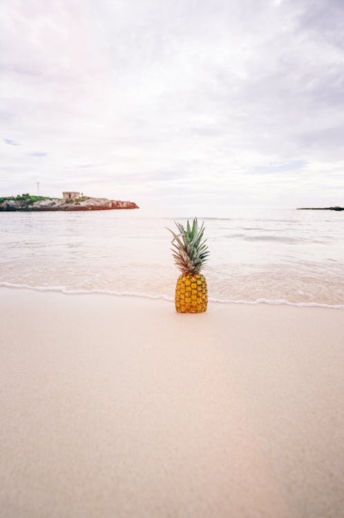 Kostnadsfria Kostnadsfri bild av ananas, frukt, hav Stock foto