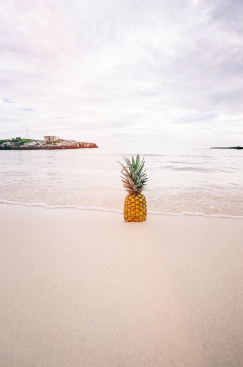 Free A lone pineapple rests on a calm beach with a gentle ocean backdrop. Stock Photo