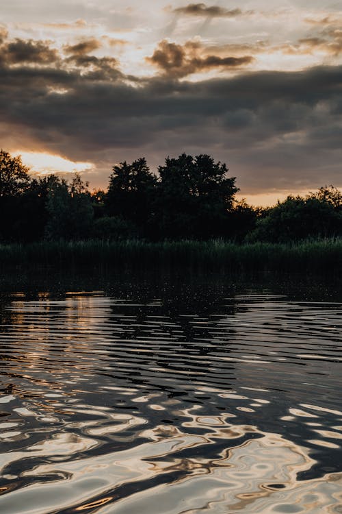 Waved Surface of a Pond and Overcast