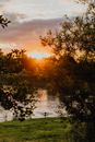 Green Trees Beside River during Sunset